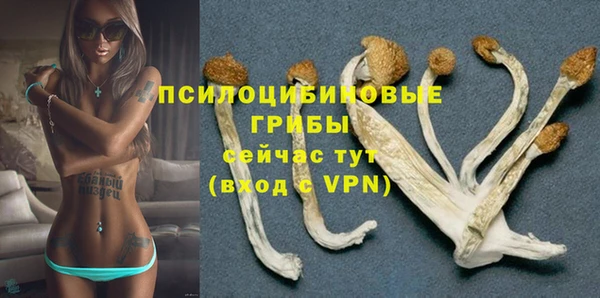 винт Горнозаводск