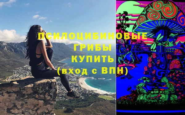 а пвп мука Горняк