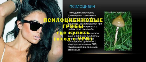 а пвп мука Горняк